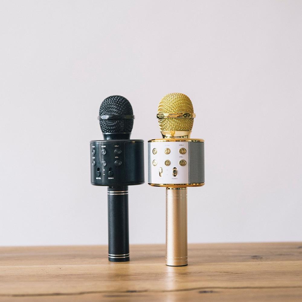Forever Bluetooth microphone with speaker BMS - 300 gold - LCDEAL