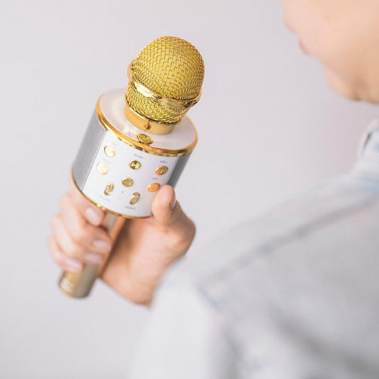 Forever Bluetooth microphone with speaker BMS - 300 gold - LCDEAL