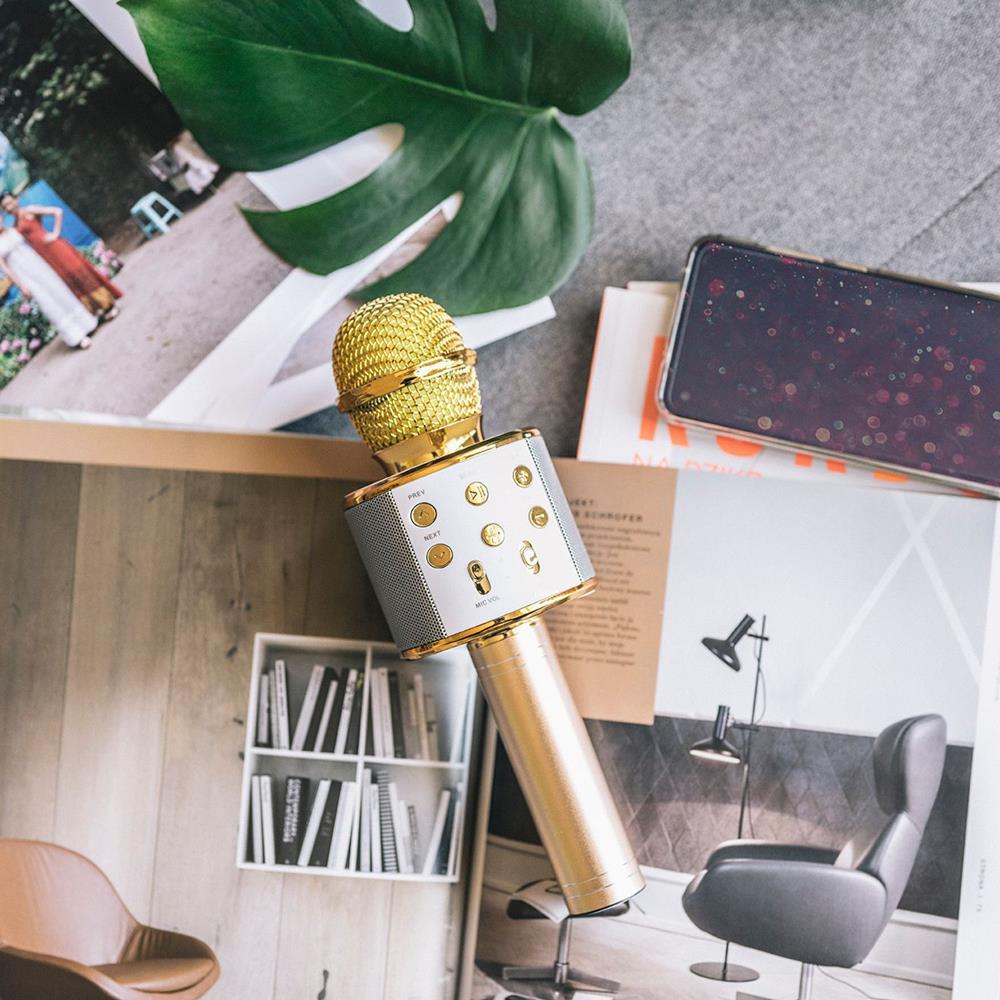 Forever Bluetooth microphone with speaker BMS - 300 gold - LCDEAL